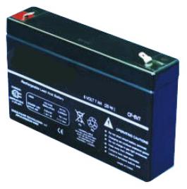 Trio Lighting TL930210 Emergency Exit Battery